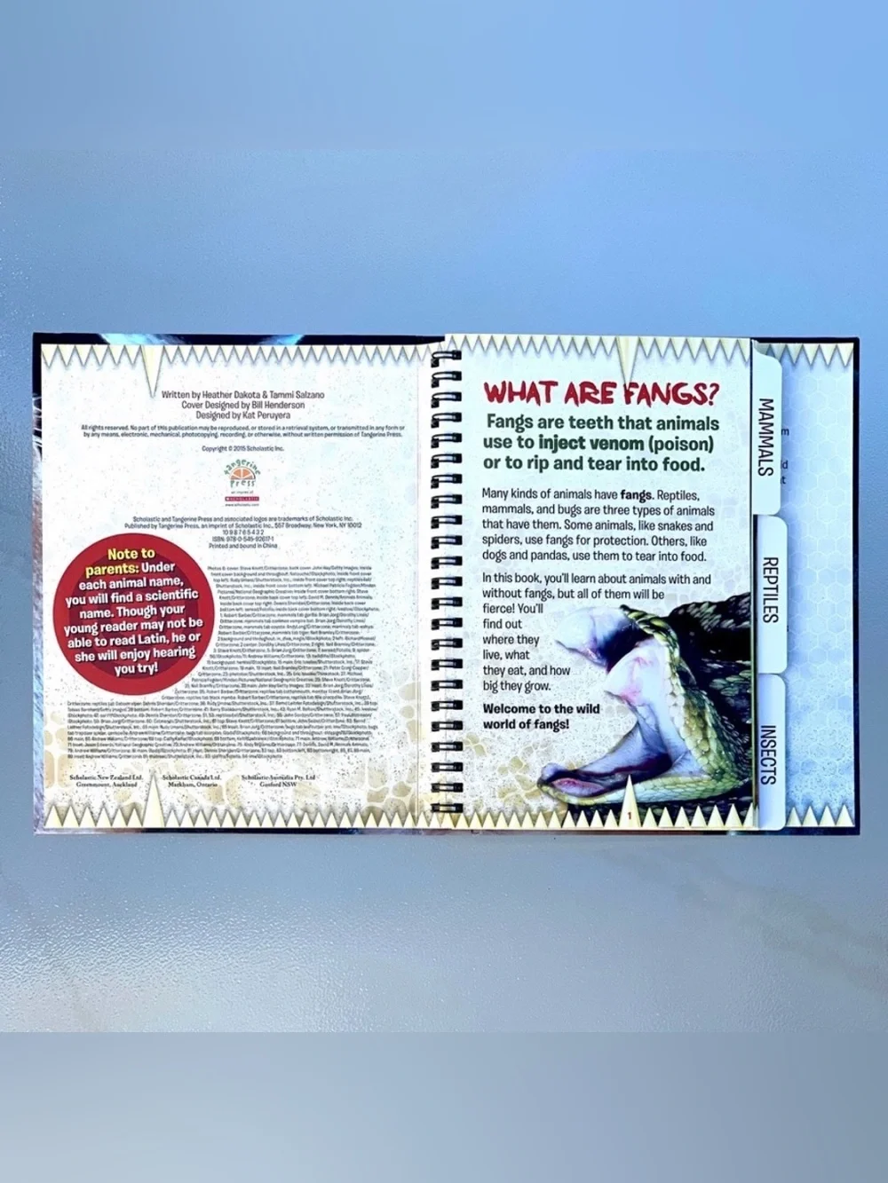 Fangs! Scholastic Books Hardcover Picture Book by Heather Dakota & Tammi Salzano